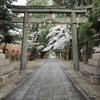 京都府宇治市「伊勢田神社」桜　2022