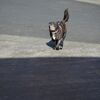 クールダウン？？