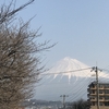 【チャリで帰宅してみた】続・四国自転車旅  8日目 2017/3/29 【富士~横浜】