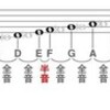 知覚における算術の誕生 (7)