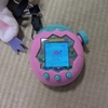 たまごっち、見つかる
