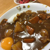 カレーのご飯の代わりにニラタマもやし炒め