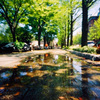 Yamashitakoen Dori Avenue after the rain.