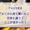 アメリカ生活 アメリカに来て驚いたこと、日本と違う？これが良かった！