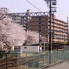 桜の駅