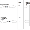 ｃ言語　シーザー暗号による画像の暗号化プログラム編３