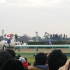 ラッキーの厳選穴馬★21/11/7（日）G1BCF&M(11番ドッグタグ)、G1BCマイル(4番レイジングブル)、G1BCターフ(6番アクリメイト)、海外競馬は過剰人気の日本馬を外すべし☆