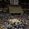 2019　5/17の拝観報告（両国国技館 大相撲夏場所 6日目）