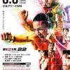 【RIZIN TV観戦】RIZIN22の感想