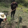 5月19日　活動報告