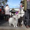 あけましておめでとう！