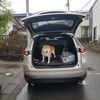 やっほー！久しぶりの伊豆の温泉旅行です。