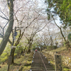 滋賀県大津・三井寺の桜