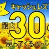 ※6/20までで早期終了！座間市でau PAY、d払い、PayPay、楽天ペイが最大30%還元キャンペーン！