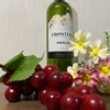 メルシャンが販売する家飲みチリワイン「フロンテラ メルロー」を解説っ！！