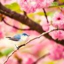 児童福祉系OLゆいこのライフスタイル日記
