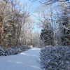 山道散歩　積雪。