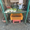 今日の野菜無人販売。