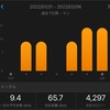 今週1/31〜2/6のラン