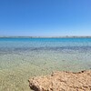 【訪問編】シナイ半島最南端！中東随一のサンゴ礁が広がるRas Mohamed National Reserveでシュノーケリングをしてみよう①