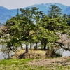 春日沼（山形県山辺）