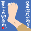 足の湿疹が改善 夏からの卵が原因?