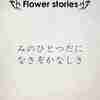 【Flower stories】ヤマブキ～みのひとつだになきぞかなしき