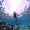 🌊西表島にGO❗️ その⑥　シュノーケリングの様子です♪