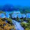 徳島の海とテンジクザメ