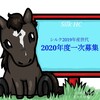 シルクHC 1歳馬募集2020！全頭一言評価-栗東完結版-