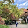 2024年11月27日（水）　きょうはフォト・ダイアリー by サイバーショットDSC WX-350