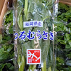 簡単にできる一品野菜！いかがでしょうか！めちゃくちゃ美味しいですよ！