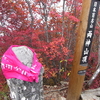 両神山　赤く染まる信仰の山