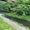6月15日(日)秩父フライフィールドの河川情報