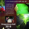 7月は、バリにて新月神楽！！！Dragontone Bali 2018