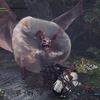 MONSTER HUNTER WORLD ICEBORNE:PS4版：導きの地を進める『パオウルムー』陸珊瑚の地帯LVを上げたい