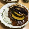 今日が賞味期限だったのでカレーは決まっていたのです