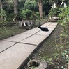 江ノ島の龍　ここから始まる神社巡り