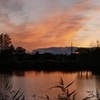 高須賀池の夕景（埼玉県幸手市）