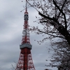 久しぶりの東京タワー🗼