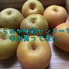 しらおか味彩センターで幸水買って来た