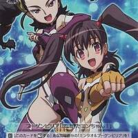 ヴァイスシュヴァルツのPhantomのシリーズだけの プレミアカード