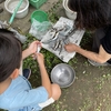 久しぶりの実家で魚釣り