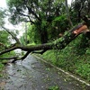 台風14号、熊本県内で8人軽傷　住宅被害や停電、通行止めも…