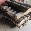 シイタケ原木用のナラの木を運び出す