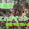 豊川稲荷　見たらわかるおすすめは霊狐塚　　そしてちくわをお土産に   4K 