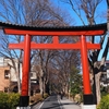 【大宮・氷川神社（前編）】日本一 長い参道 歩いたよ ｜60歳からの御朱印めぐり〔072/541〕 