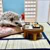 こなつの部屋