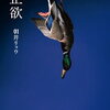 「寛容のパラドックス」を彷彿とさせる『正欲』朝井リョウ