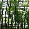 先週の保育室7月第4週